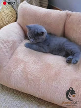Load and play video in Gallery viewer, AloraSii™ Comfort you’ll fall in love with… the cosy corner that makes your kitty say: “Now this is the life. 😻
